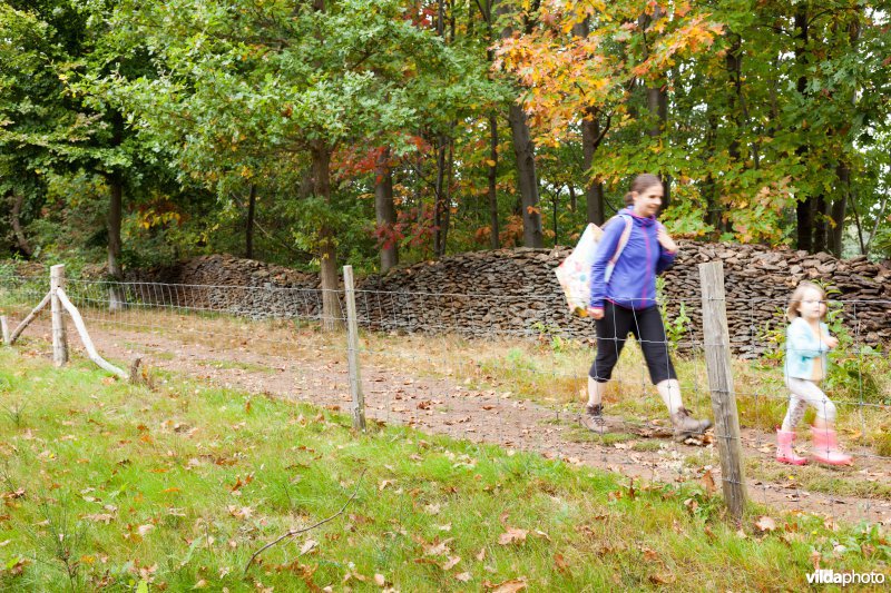 Wandelen langs de wijnmuur