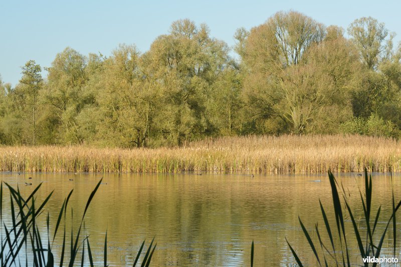 Hobokense polder