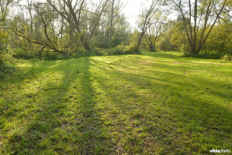 Hobokense polder