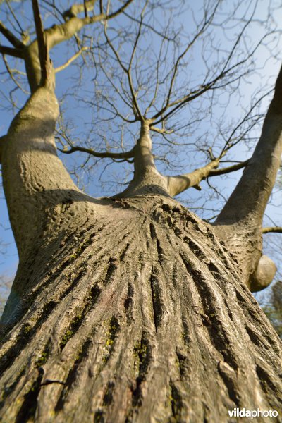 Natuurreservaat De Bourgoyen