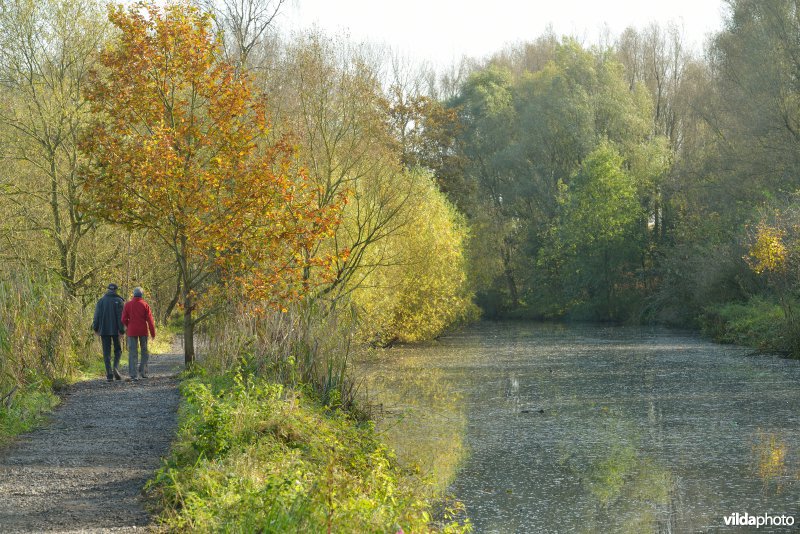 Natuurreservaat De Bourgoyen