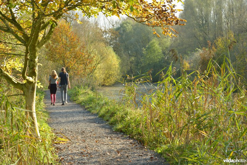 Natuurreservaat De Bourgoyen