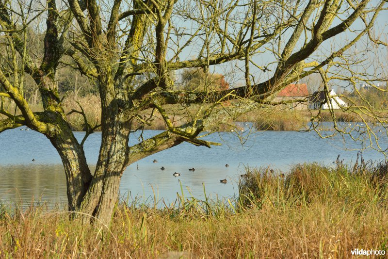 Natuurreservaat De Bourgoyen