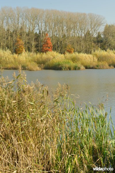 Natuurreservaat De Bourgoyen