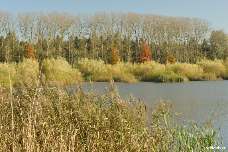 Natuurreservaat De Bourgoyen