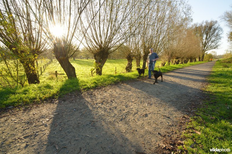 Natuurreservaat De Bourgoyen