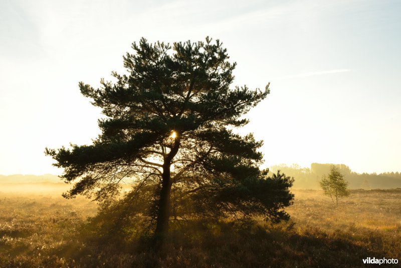 Natuurreservaat De Maten