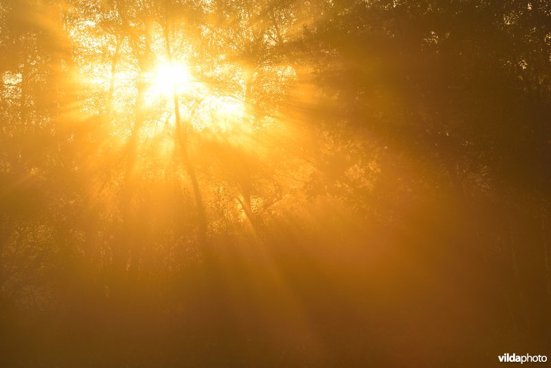 Natuurreservaat De Maten