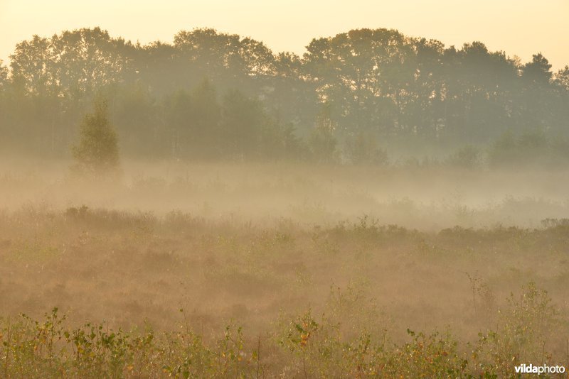 Natuurreservaat De Maten