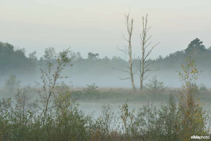 Natuurreservaat De Maten