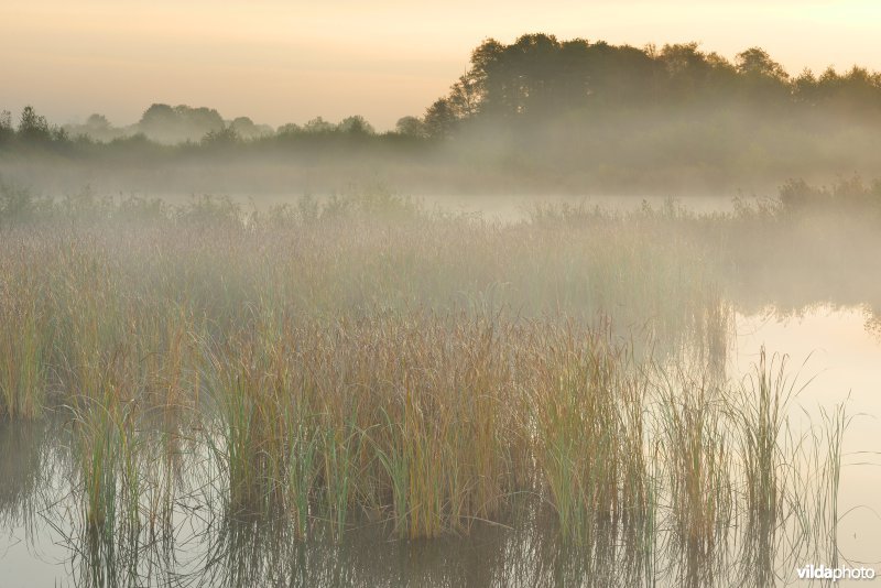 Natuurreservaat De Maten