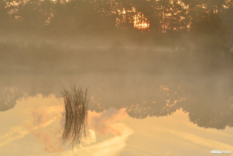 Natuurreservaat De Maten