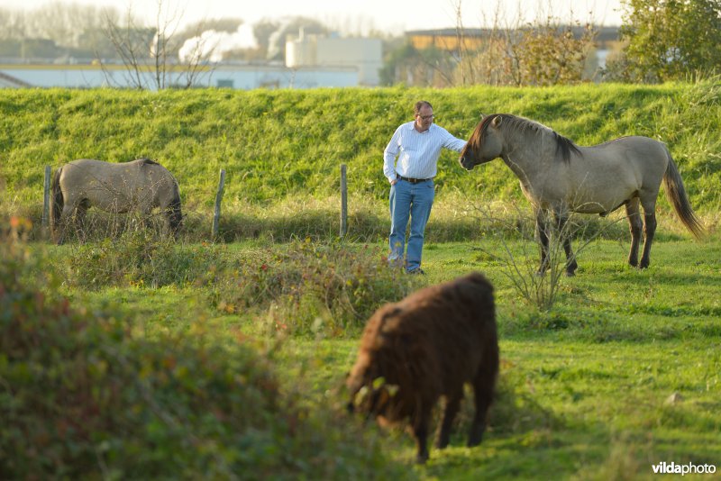 Wandelaars in de Hobokense polder