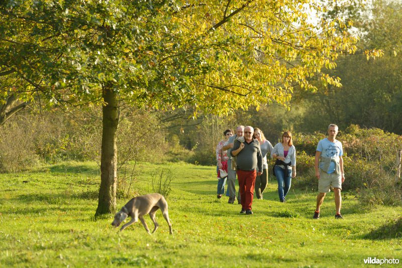 Wandelen in de Hobokense polders 