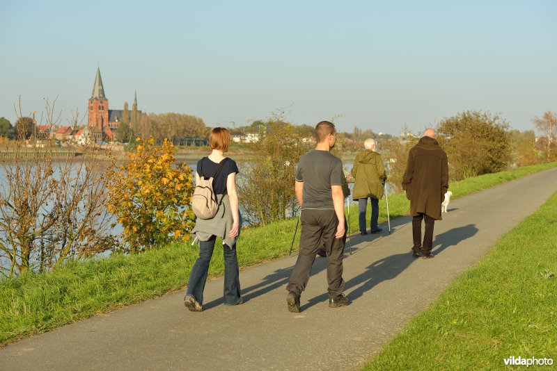 Wandelen in de Hobokense polders 