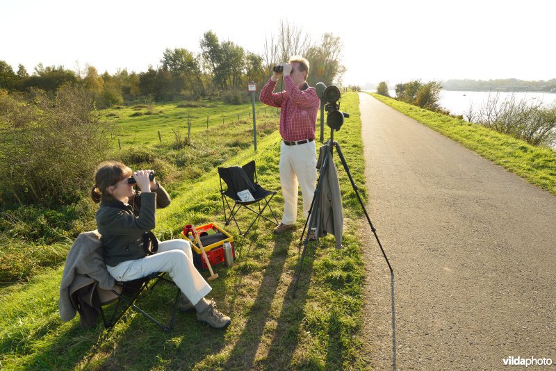 Hobokense polder