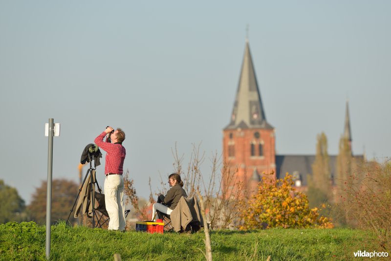 Hobokense polder