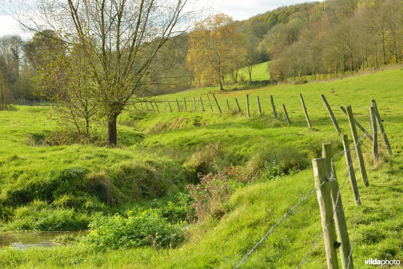 Altenbroek