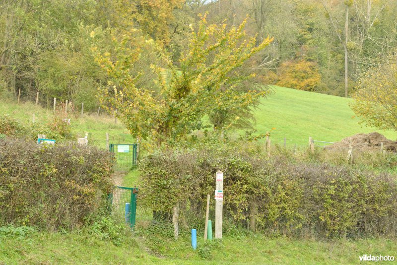 Altenbroek