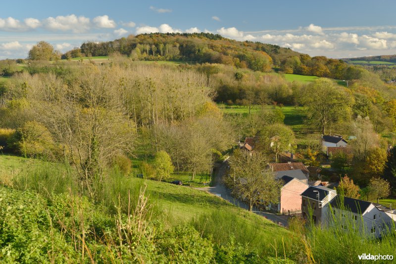 Altenbroek